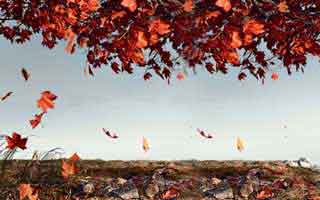 我差点把信息交给冒充爱游戏体育app的人，幸亏看到了备案信息：1分钟快速避坑