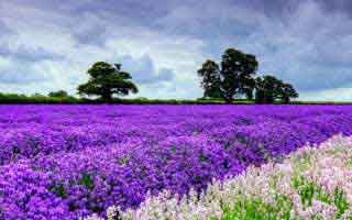 我差点把信息交给冒充爱游戏官网的人，幸亏看到了跳转链：4个快速避坑