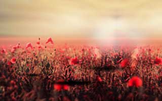 真心劝一句：99tk图库手机版相关链接别乱点，尤其是扫码弹窗：看似小事，其实是关键