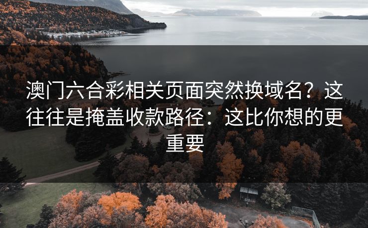 澳门六合彩相关页面突然换域名?这往往是掩盖收款路径:这比你想的更重要